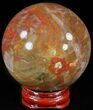Colorful Petrified Wood Sphere #49758-1